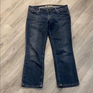 American Eagle Outfitters Dark Blue Cropped Jeans